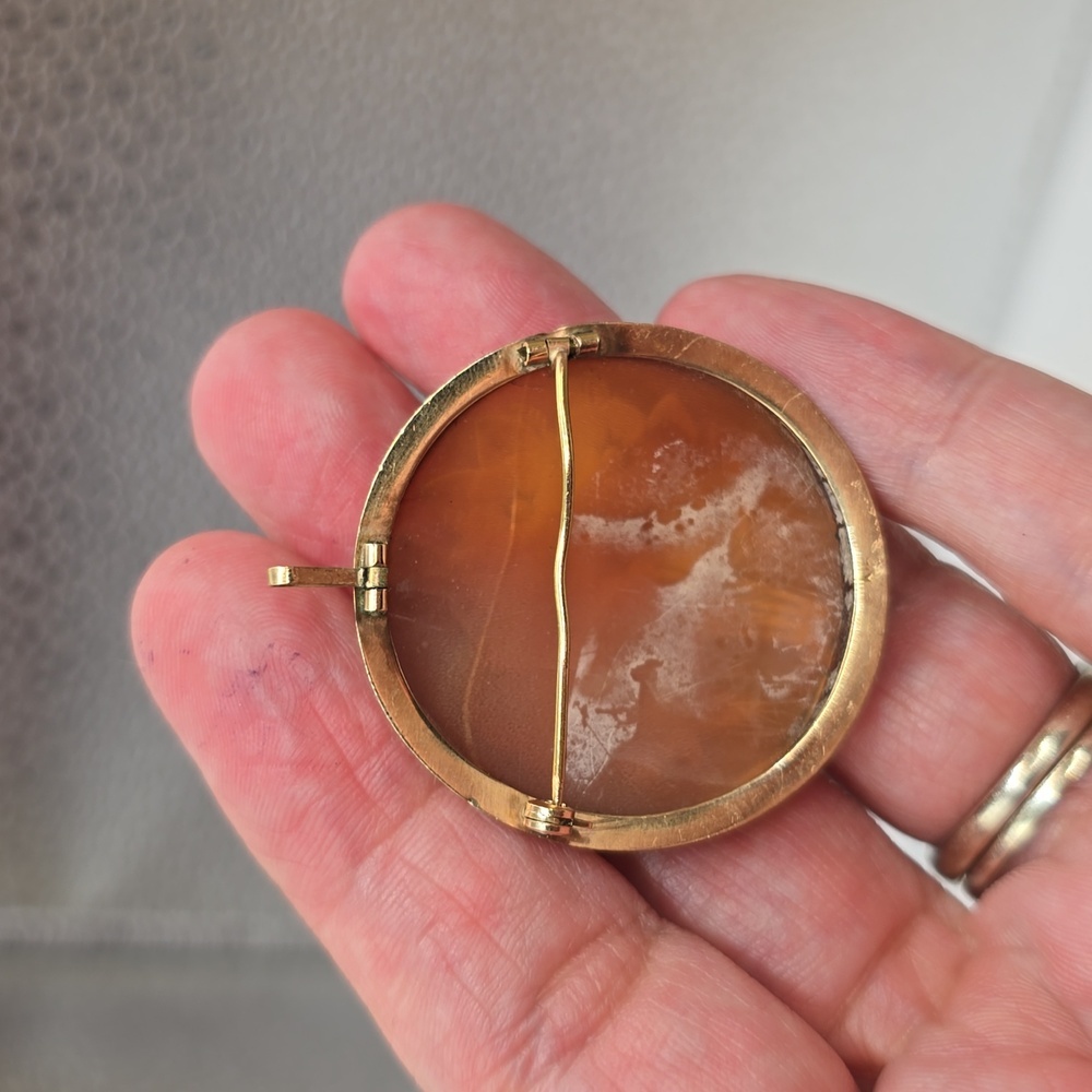 Vintage Cameo 14K Yellow Gold Carved Bouquet Brooch & Pendant - Picture 6 of 9